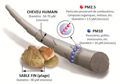 Comparaison taille particule PM 2.5 et PM10 par rapport à cheveu et grain de sable